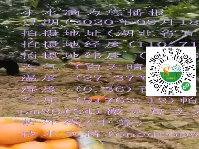 tmp_cff9358be48834182d517efe609b5c9f7df92e32c35ee5c3.mp4