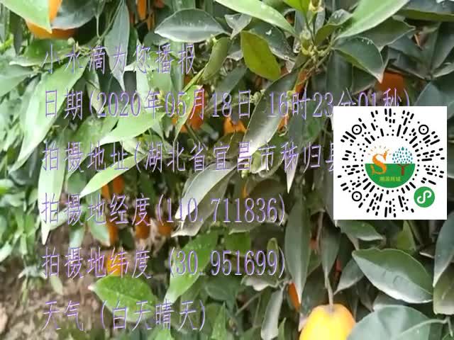 tmp_ddec35c90bcd94dddce2be84da3dde04d1c87a5a373a795b.mp4