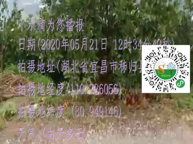 tmp_d2bca7fe9507502deee0d24375c47a24a0a7df5bd08a7ca6.mp4