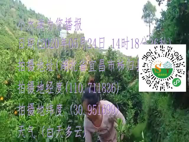 tmp_912978a9c447bf188e4e2c67b7856d806efd43e5373bc632.mp4