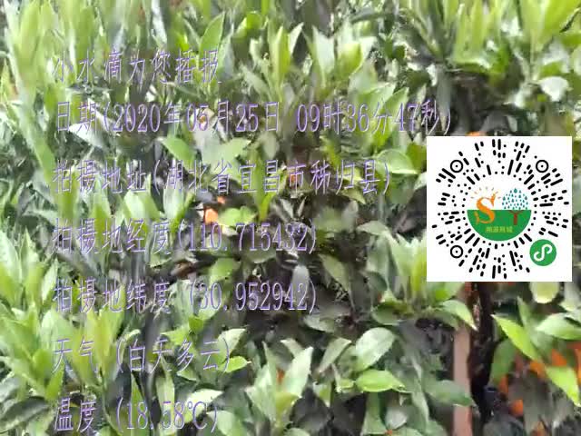 tmp_c8b4504893c86f0b8dfac3d33983f508e64859d9cca24d90.mp4