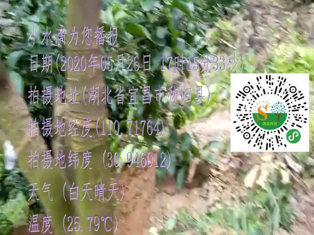tmp_a7b5691a824ed8708ab353adf2fef2b2c4e6dcbe640a52d3.mp4