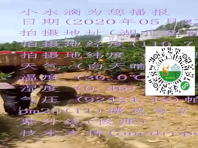 tmp_9df3597d8ad32dd09f5c073bb57f550ac00488460d5ad28d.mp4