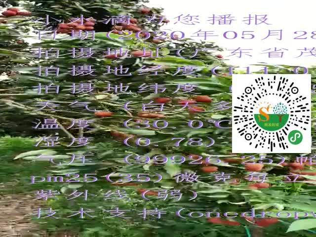 tmp_78ead80ed2f69f23cb623ccaf523170dddbc21b1af9f5bb2.mp4