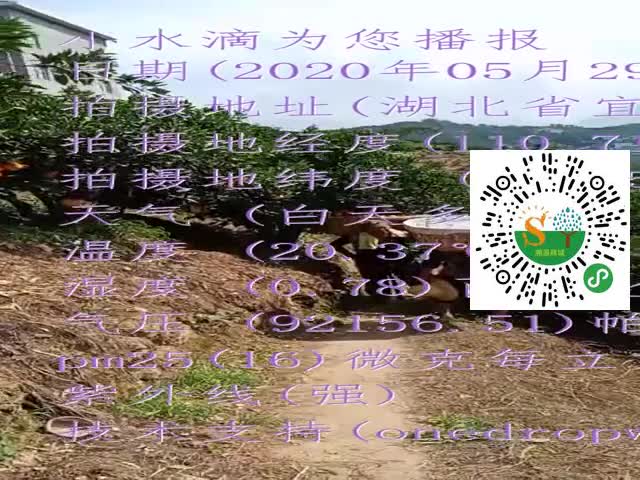 tmp_acb93c145ddbce50da2d4e3206c53566565ca2b65975cc1d.mp4