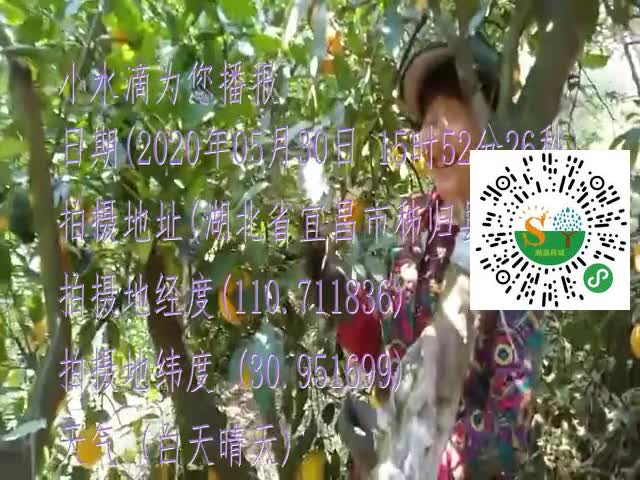 tmp_bc3628af5da77abda81964a387efd1b58af73819940fafe0.mp4