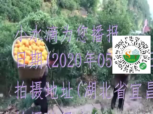 tmp_966e2214f0b170562b824f7eccf008796c32eabb2085ae06.mp4