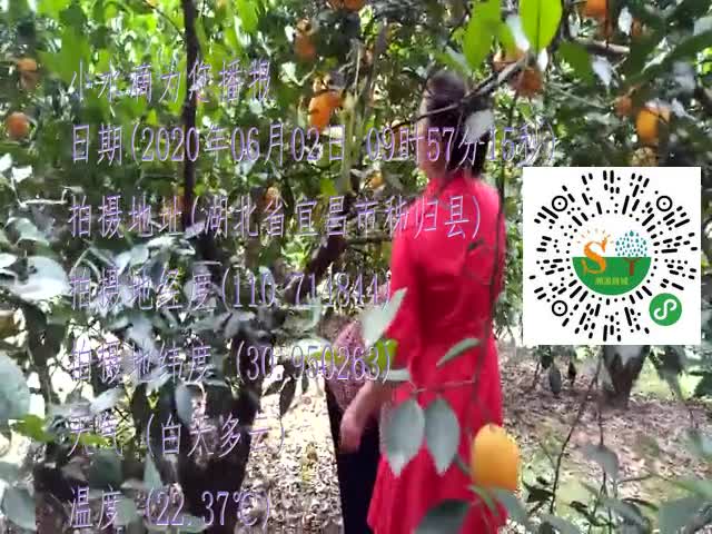tmp_e7199237df12c651f9d1367b591c38204f3acb54d1d89790.mp4