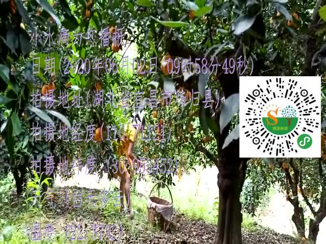 tmp_ab8697653be4d350ed5a0942d692cb64acefa3976f7ae28c.mp4
