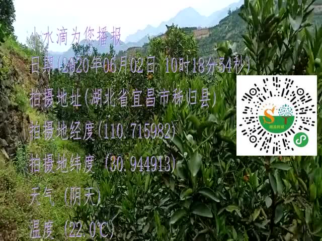 tmp_791833a633588b6b9f180730e9127eea3d427ab285415003.mp4