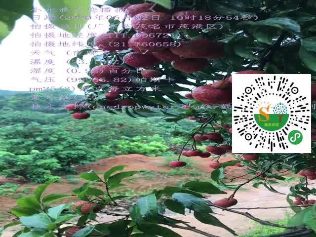 tmp_6e8d8696419f1a93e32e4f891bc95ffb.mp4