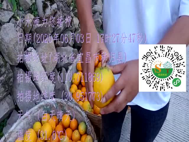 tmp_2bc41fb65dd0f9ce76914edf0418f726eac4734918e56c0f.mp4