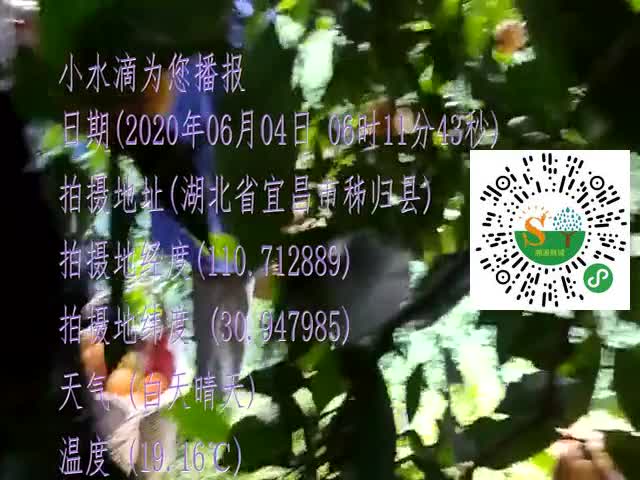tmp_b09c5d1da2ef01f5f3634cbe877ebc1ef2650451e5d204e7.mp4