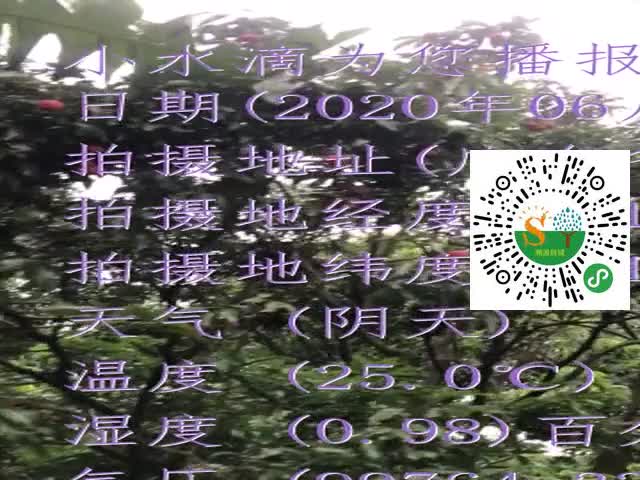 tmp_86fb2dae3905e7475fcc44d82dcfc081.mp4