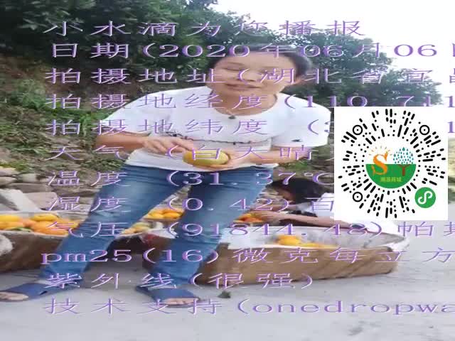 tmp_0c99eeeff590a3a18db15d0c1df870d00e60421fac9337aa.mp4