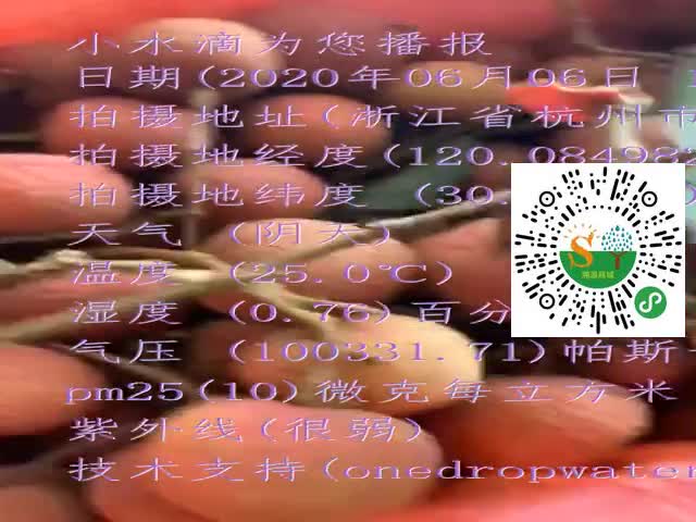 tmp_f421e586d499314a9f4206515cf77368cb2dec4cc7e90df6.mp4