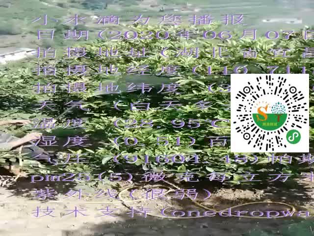 tmp_94c3f5553f0e9503169ecf668c1cdebbe6612c27fb78cb9e.mp4