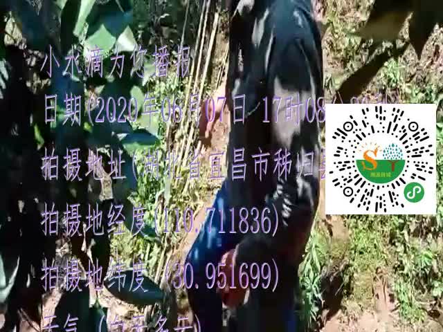 tmp_d6a3d330337b827a53cd32d459ff76e45c54d129c8ca6683.mp4