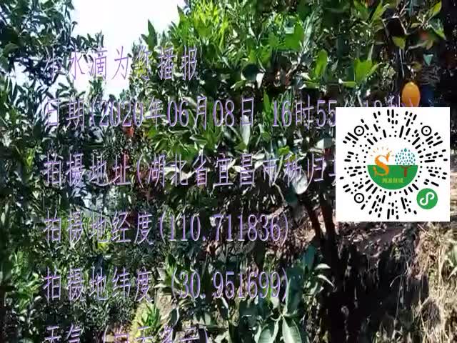 tmp_c3ef753289a880d428b95aa9591531f56d1da1564406bd32.mp4