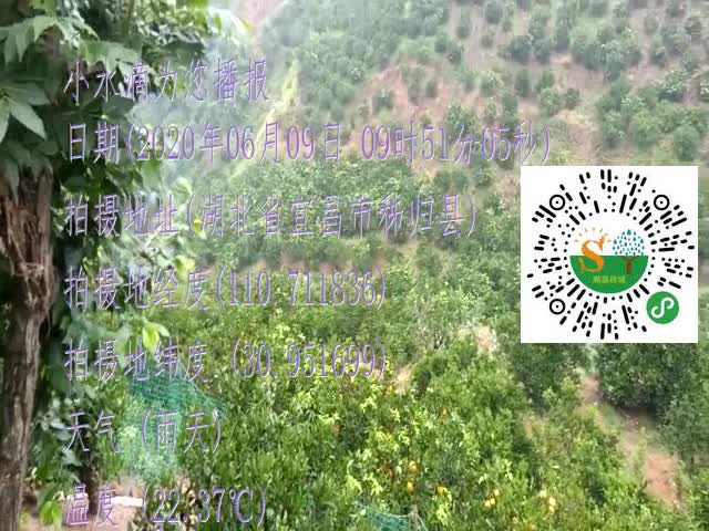 tmp_1f72de0a1e9f2be78e00d7511126e71396a3d79426865d7c.mp4