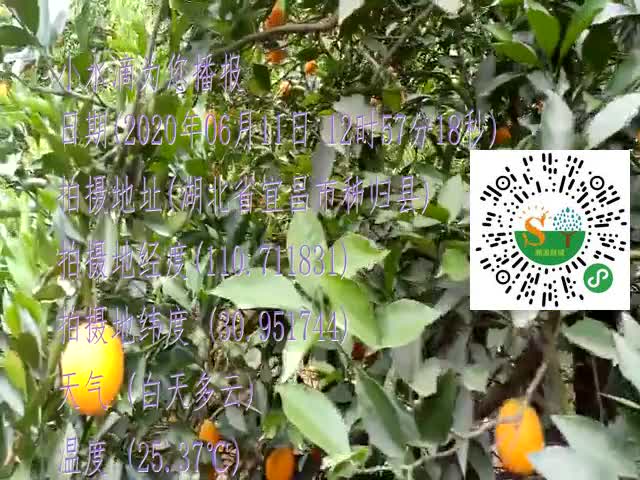 tmp_345e765e75fdfe2029b3de3745d129852d2dae2c7a00fb5d.mp4
