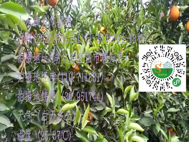 tmp_8713c643cdbaf3f5ced74eb6bbe3cd35c210eb73ae3c52b8.mp4