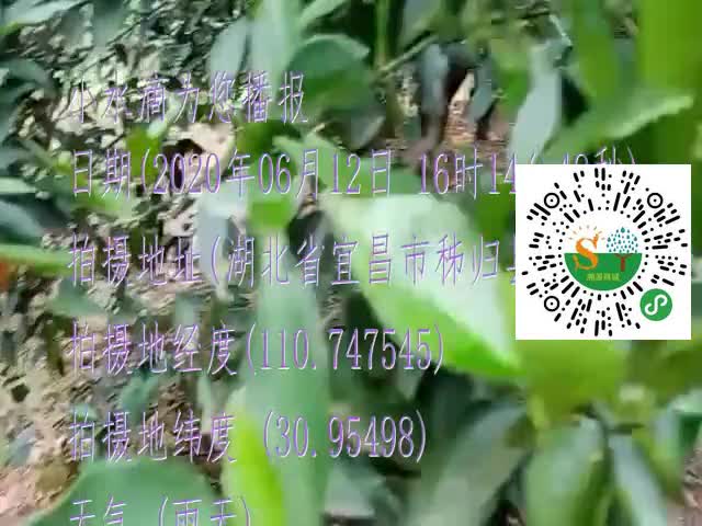 tmp_df9de90ae28efb80e57bd4b0c350eb7299f0274a6abc3307.mp4