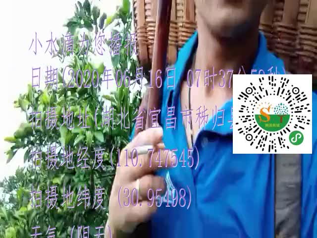 tmp_099097e887a7fd2edcdc4b8cf5b66d30d3f82f57c51cbaaa.mp4