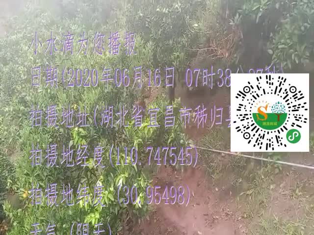 tmp_bb810f0b9a163e3aa35738ecf33a4b889deb6341eac347b2.mp4