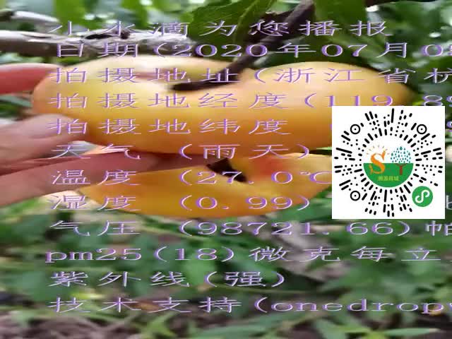 tmp_aaeb9471bc26f6fc8b306ce5b69fe357.mp4