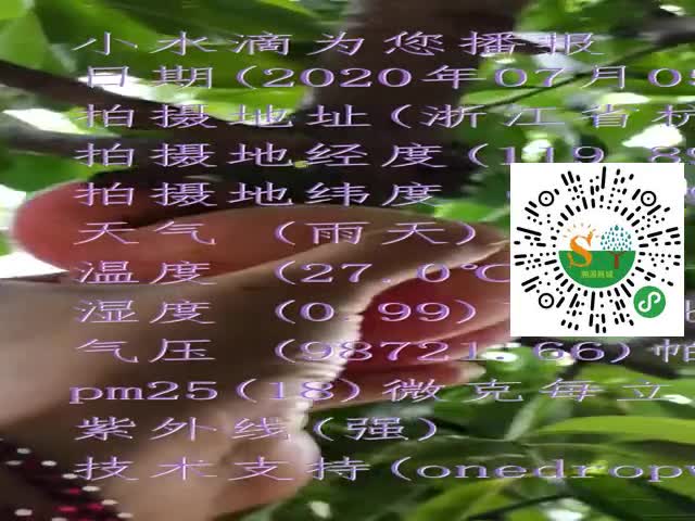 tmp_82a6a2ad05c91d96211d6ab9a6899127.mp4