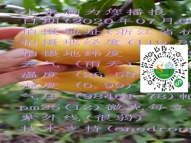 tmp_cc6b079ca320232b8fe29193e0bb9d84.mp4