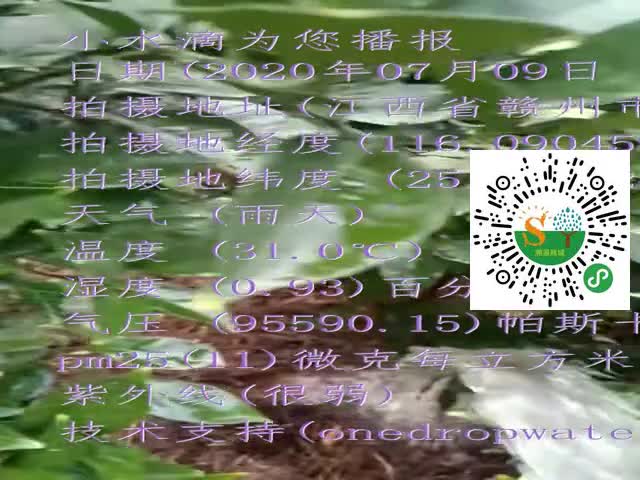tmp_5b600fbcf51d5bf7102c7d28e1c4df61448e7efd3ffb449c.mp4