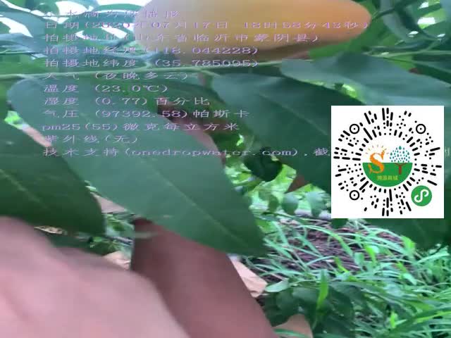 tmp_d2e49dd58181de4c76e00bdd2a4deb78.mp4