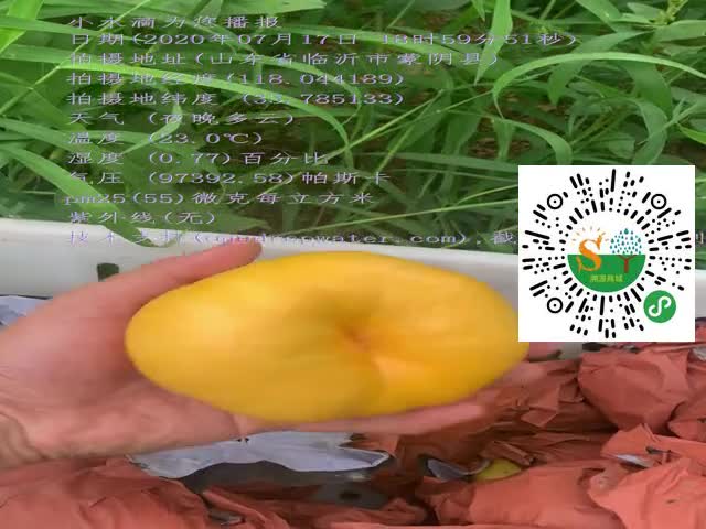 tmp_9634b3fc1c0086636accdca5ce49cef0.mp4