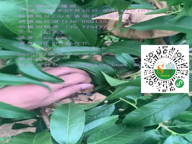 tmp_8cc39957f3d731546781557a119cd9fa.mp4