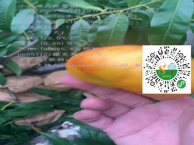 tmp_fd5502ab26d6949364b53c07d0064efe.mp4