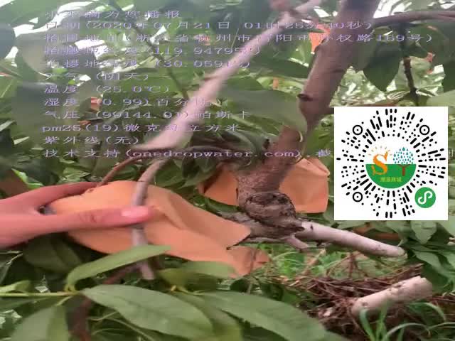 tmp_1e24d8ea3dce98433a5e1fd564560f72.mp4