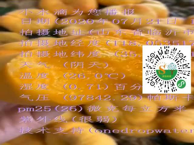 tmp_35c3ce43e00f176405e33f774b25b84ccd4c7f8835486c23.mp4