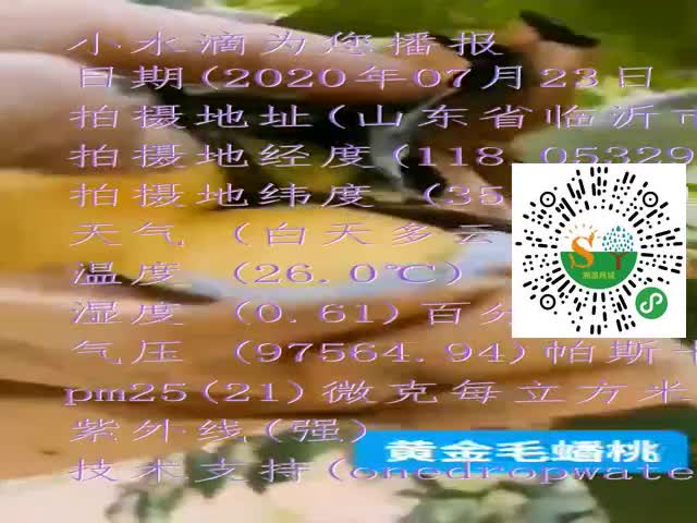 tmp_99fda6917d813af66b70f3c39f6580a1d2b5e10197ff8760.mp4