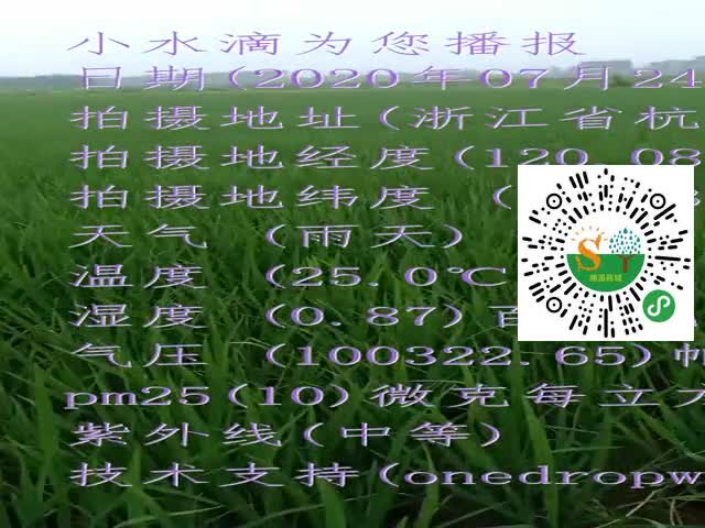 tmp_9f9184f16582ec2d5d645a0ca5a92e3cbdf61965fc0c31fe.mp4
