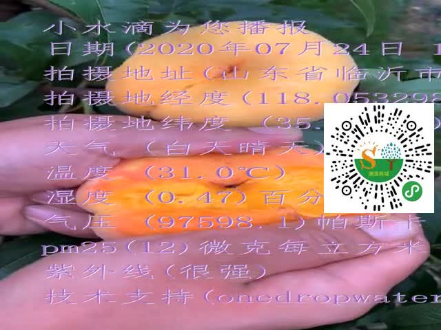 tmp_34f02fd192821950e96471103c6bdb7220f12383f4bf8e51.mp4