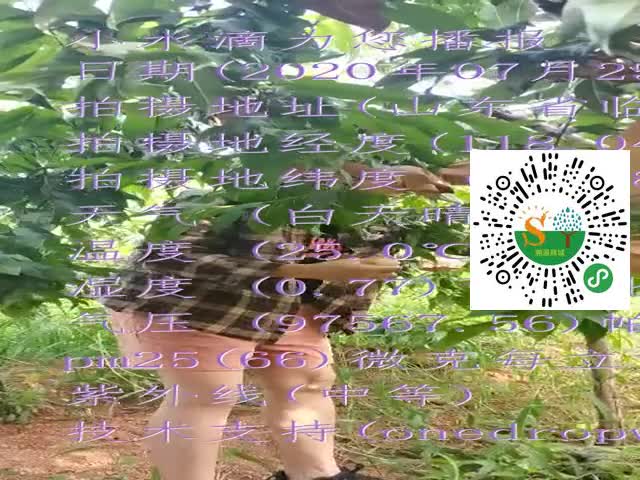tmp_f1ebd29e02f8f6689dbd8ecb445ea6bf847c44fa8a2405a3.mp4