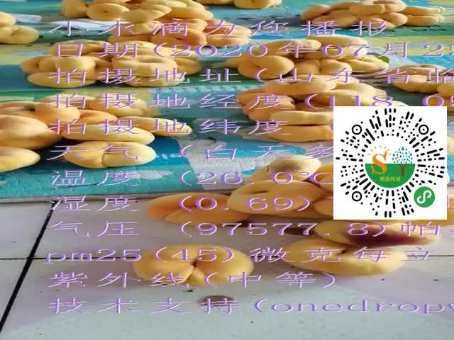 tmp_22ab953a1a037b26c0af925796316953a4b1d8463566791c.mp4