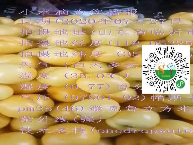 tmp_9a297496e3bf11e8b7faea49ae33d72ca3d23e5f8365c984.mp4