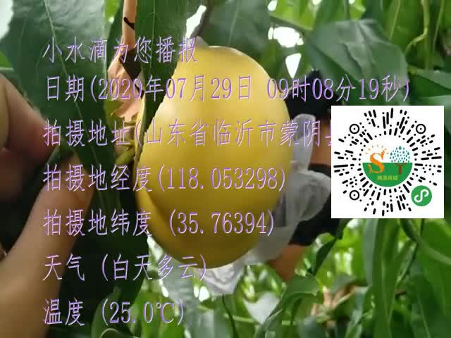 tmp_42345e970f21852e061df22d0ff1ed03bbf4fab5f7c16a8f.mp4