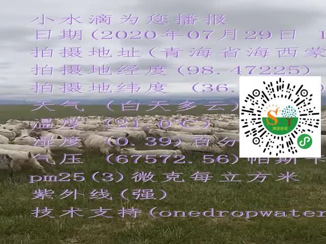tmp_72d65ded8cfc3ffedc0f5e65a13d7d8fbdbc9468ddebdcf3.mp4