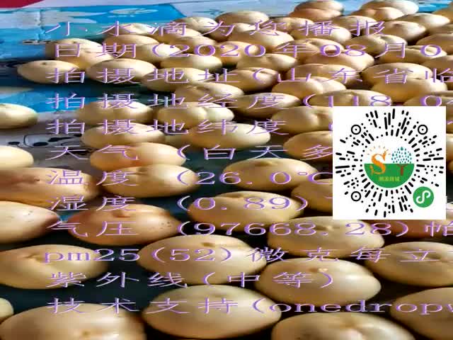 tmp_89c8b5efb61e4173457b4dce27eca572cdb10664a5bbce38.mp4