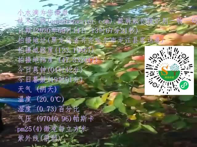 tmp_f665cf1b00d5e1bb4d94a5293ea50c35929f2e849b5a5747.mp4