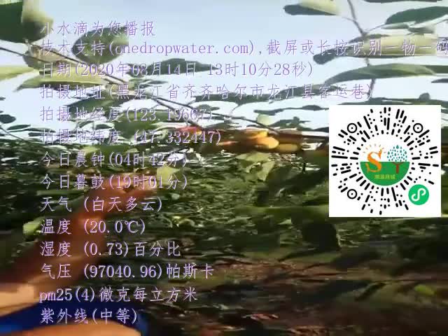 tmp_8aaee6d1d90f737ca3c5ae10a17826a481ed218cbf21ff8e.mp4
